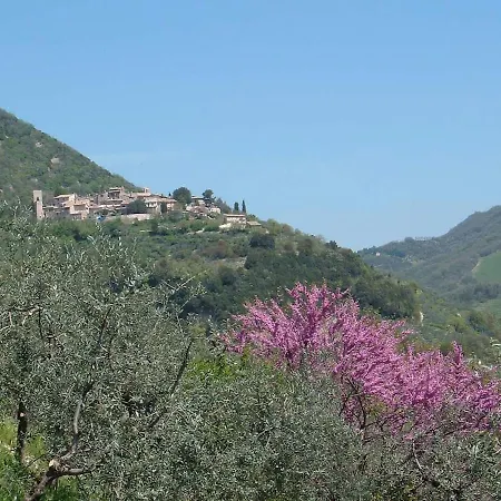 Il Castello Di Collepino