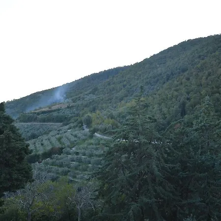 Il Castello Di Collepino